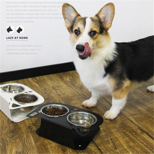 Inclined Cat Dog Feeding Water Bowl