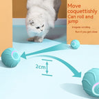 Smart Cat Toys Rolling Bouncing Ball