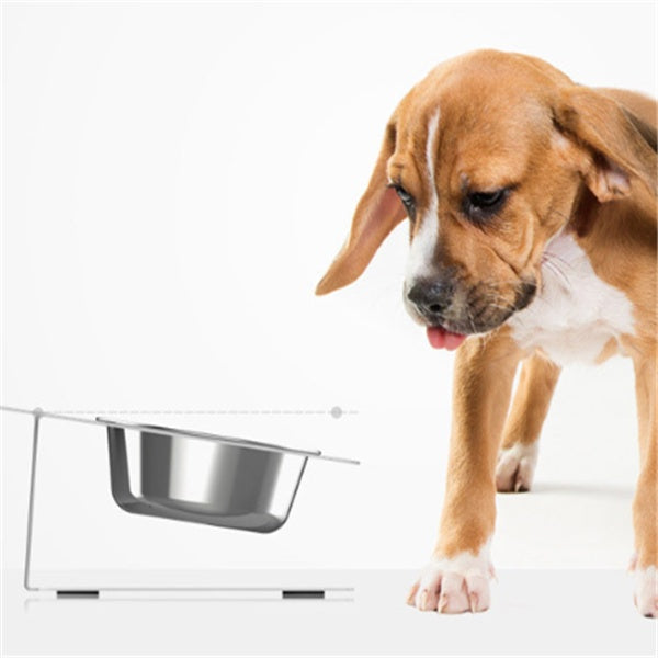 Inclined Cat Dog Feeding Water Bowl