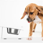 Inclined Cat Dog Feeding Water Bowl