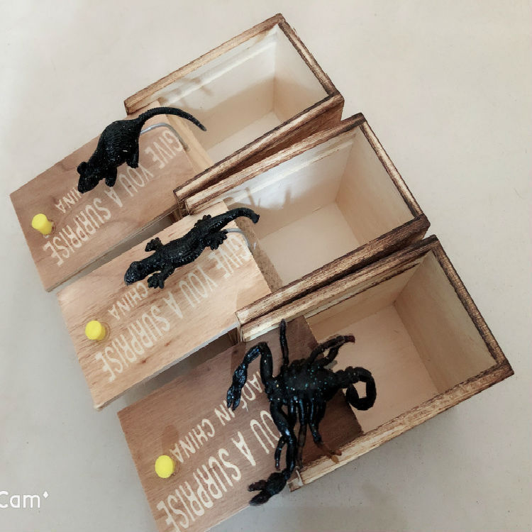 Prank Spider Wooden Scare Box Trick
