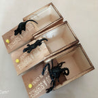 Prank Spider Wooden Scare Box Trick
