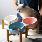 Pet bowl oblique mouth cat bowl dog bowl bucket food bowl with wooden stand