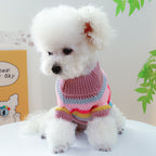 Colorful Sweater for pet