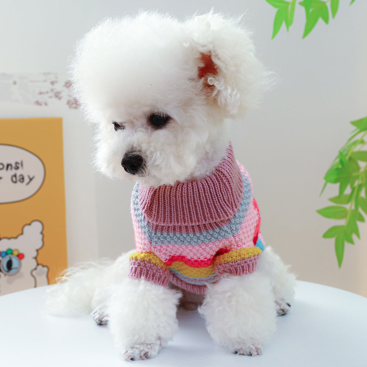 Colorful Sweater for pet