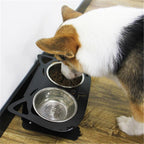 Inclined Cat Dog Feeding Water Bowl