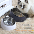 Stainless Steel Bowl Double Bowl Cervical Protection Oblique Mouth Hot Pet Food Basin Supplies