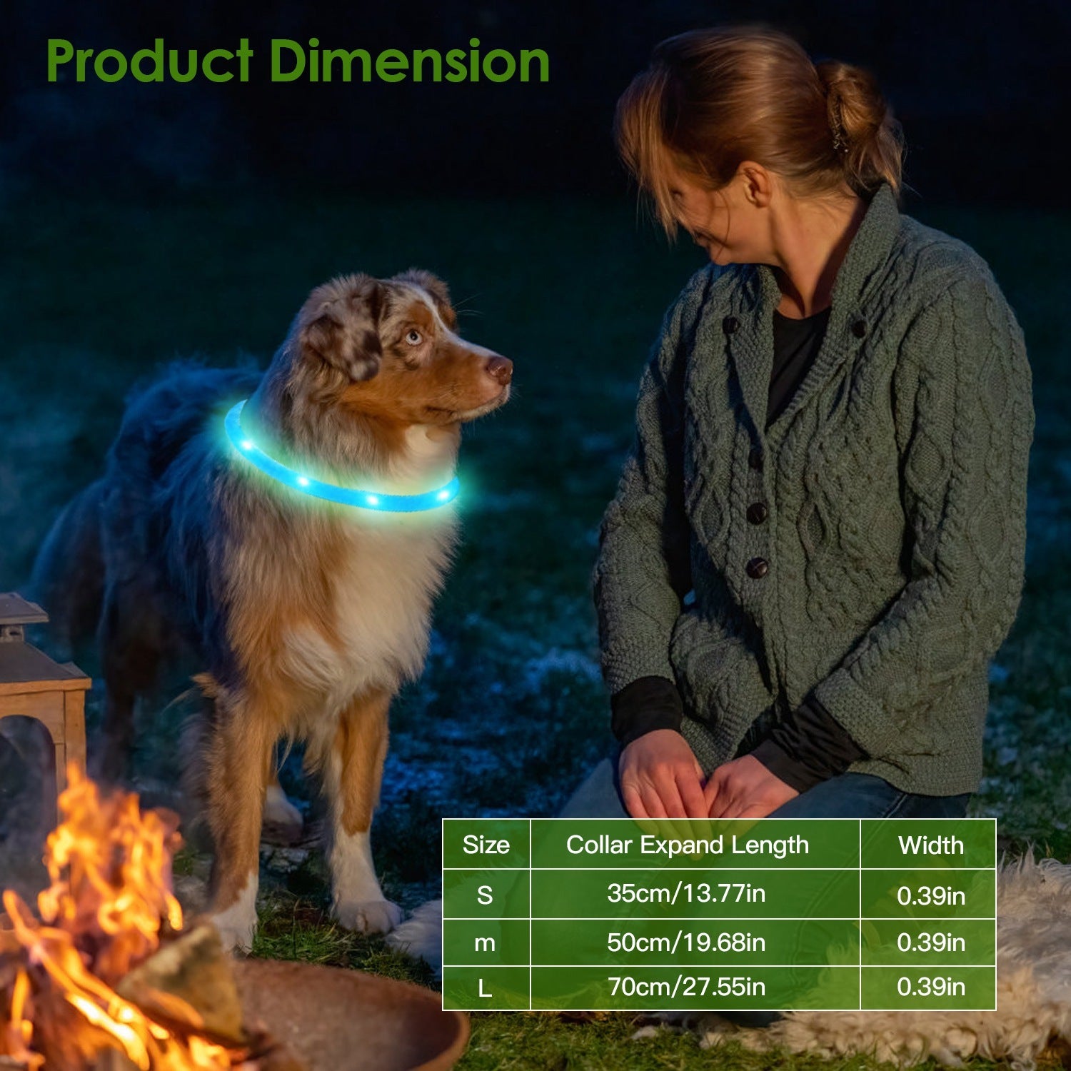 Rechargeable LED Dog Collar Multi Color Lighting