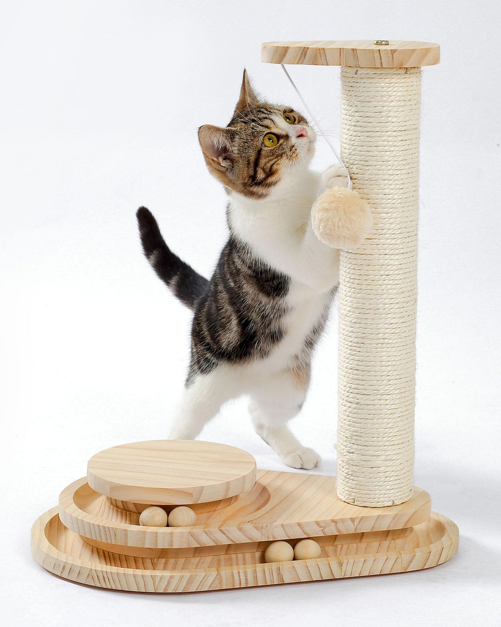 Indoor Cat Soft Scratching Board And Interactive Ball Track Toy Cat Rest