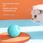 Smart Cat Toys Rolling Bouncing Ball