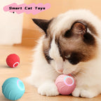 Smart Cat Toys Rolling Bouncing Ball