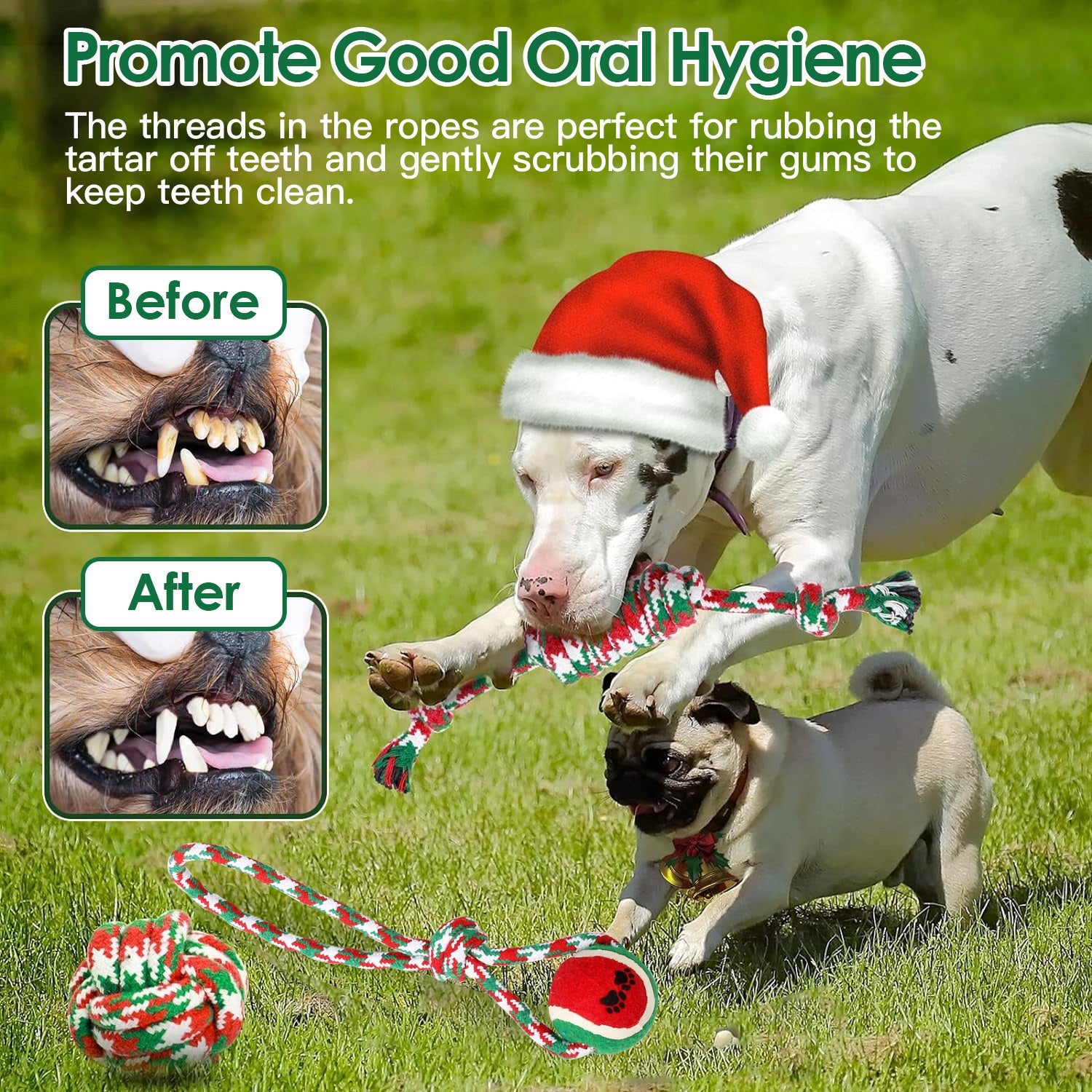Set Of 5Pcs Christmas  Rope Chew Toys For Dogs