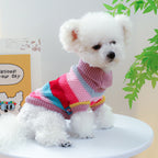 Colorful Sweater for pet