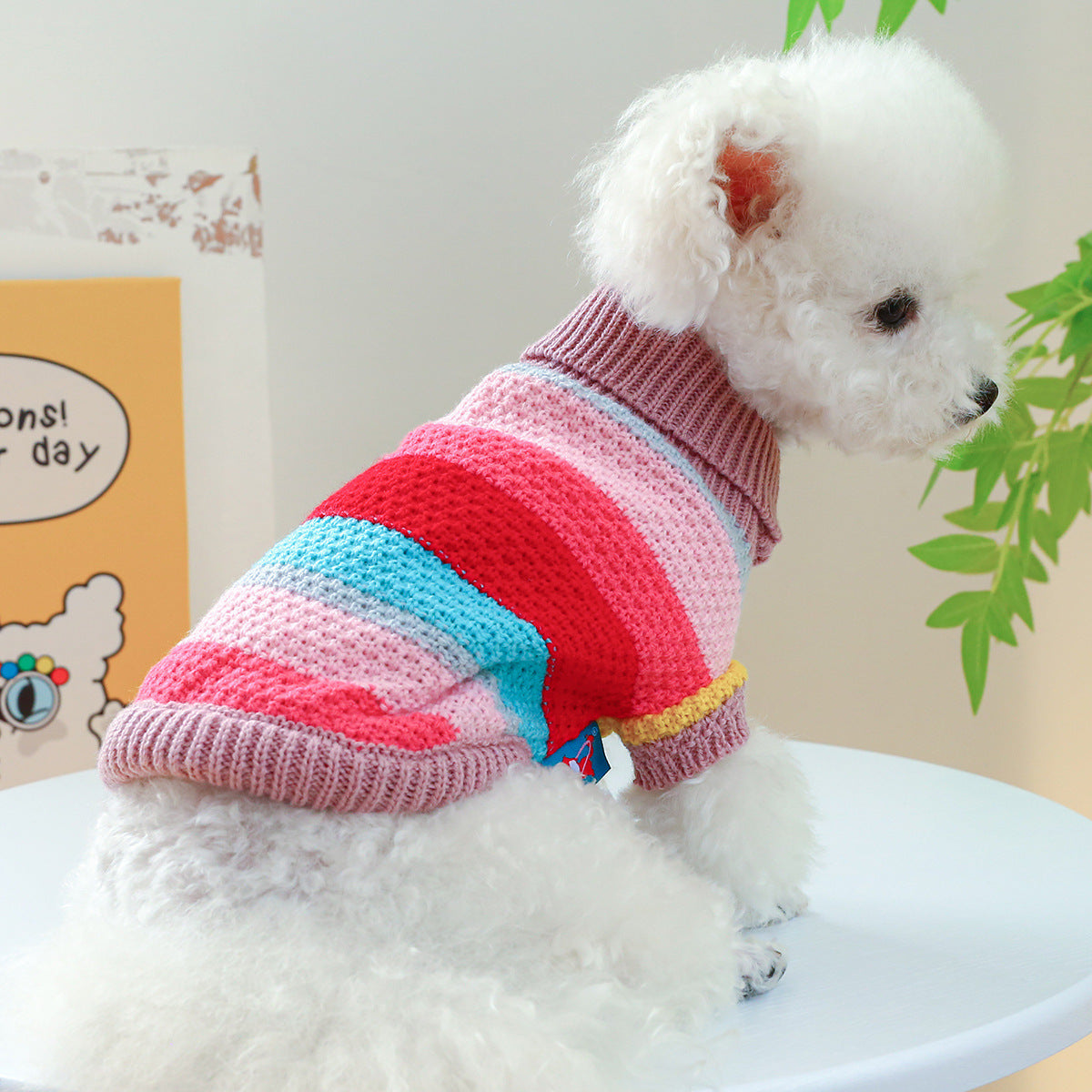 Colorful Sweater for pet