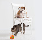 Cat Wicked Ball Toy Intelligent Ball USB Automatic Rotation
