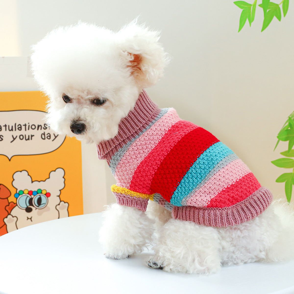Colorful Sweater for pet