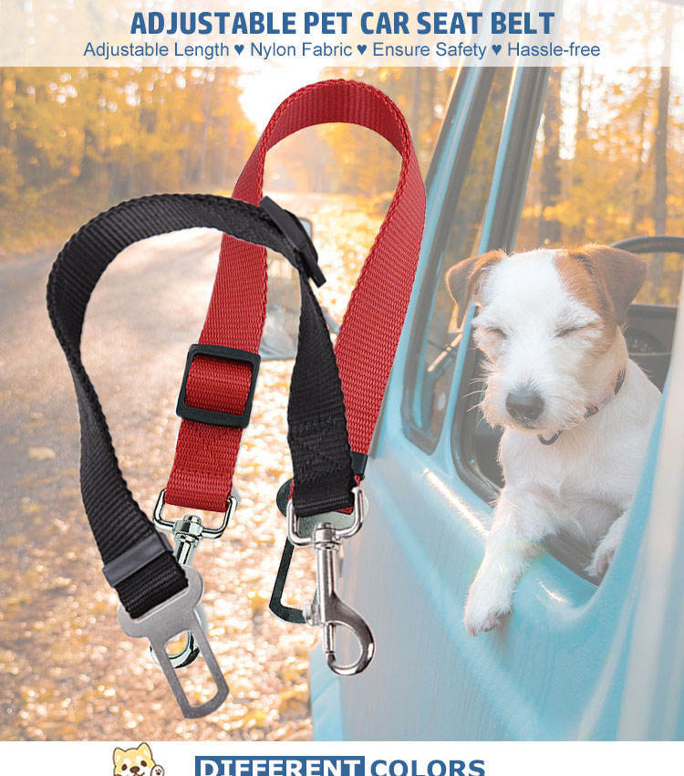 Durable Pet Cat Dog Vehicle Leash