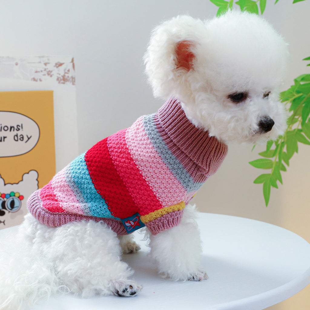 Colorful Sweater for pet