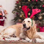 Set Of 5Pcs Christmas  Rope Chew Toys For Dogs