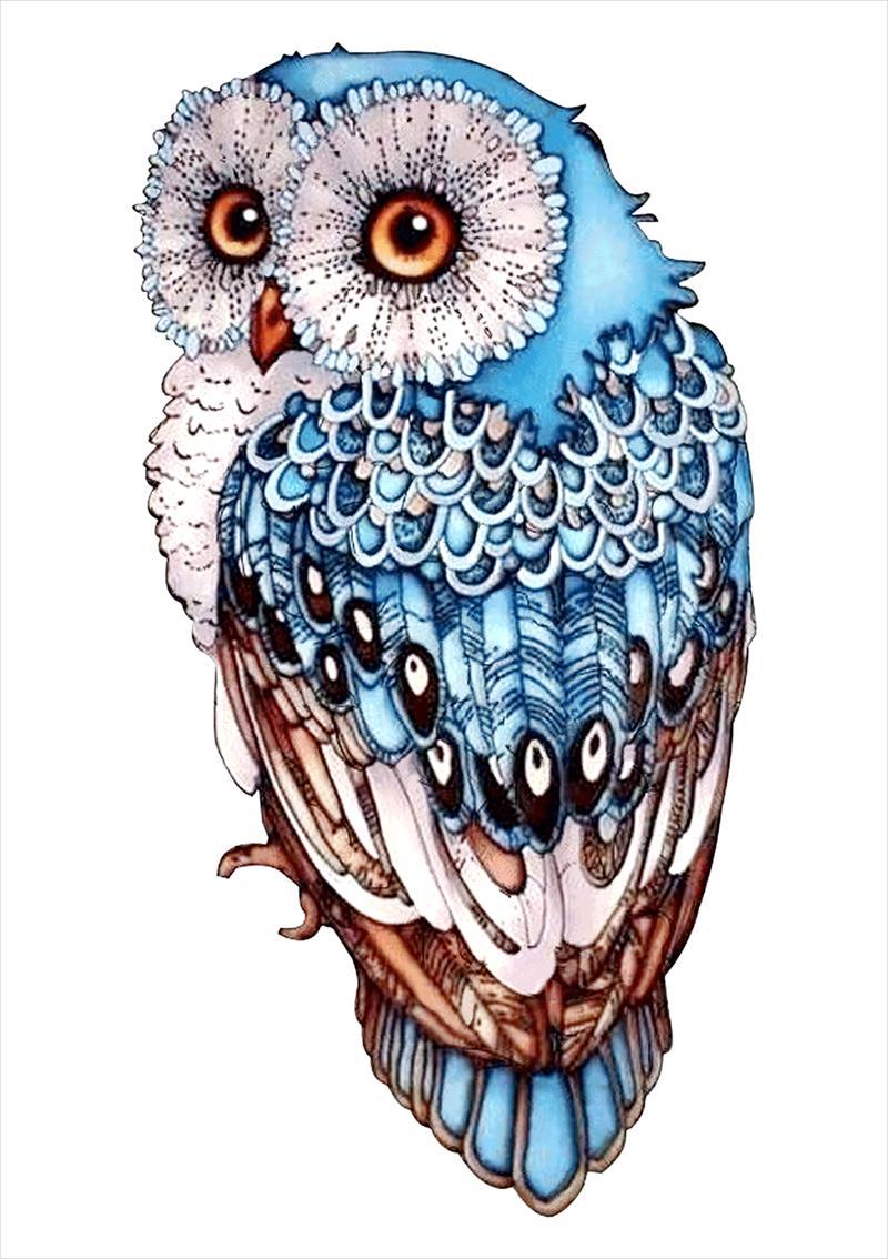 Puzzle Wooden Jig Saw Puzzles