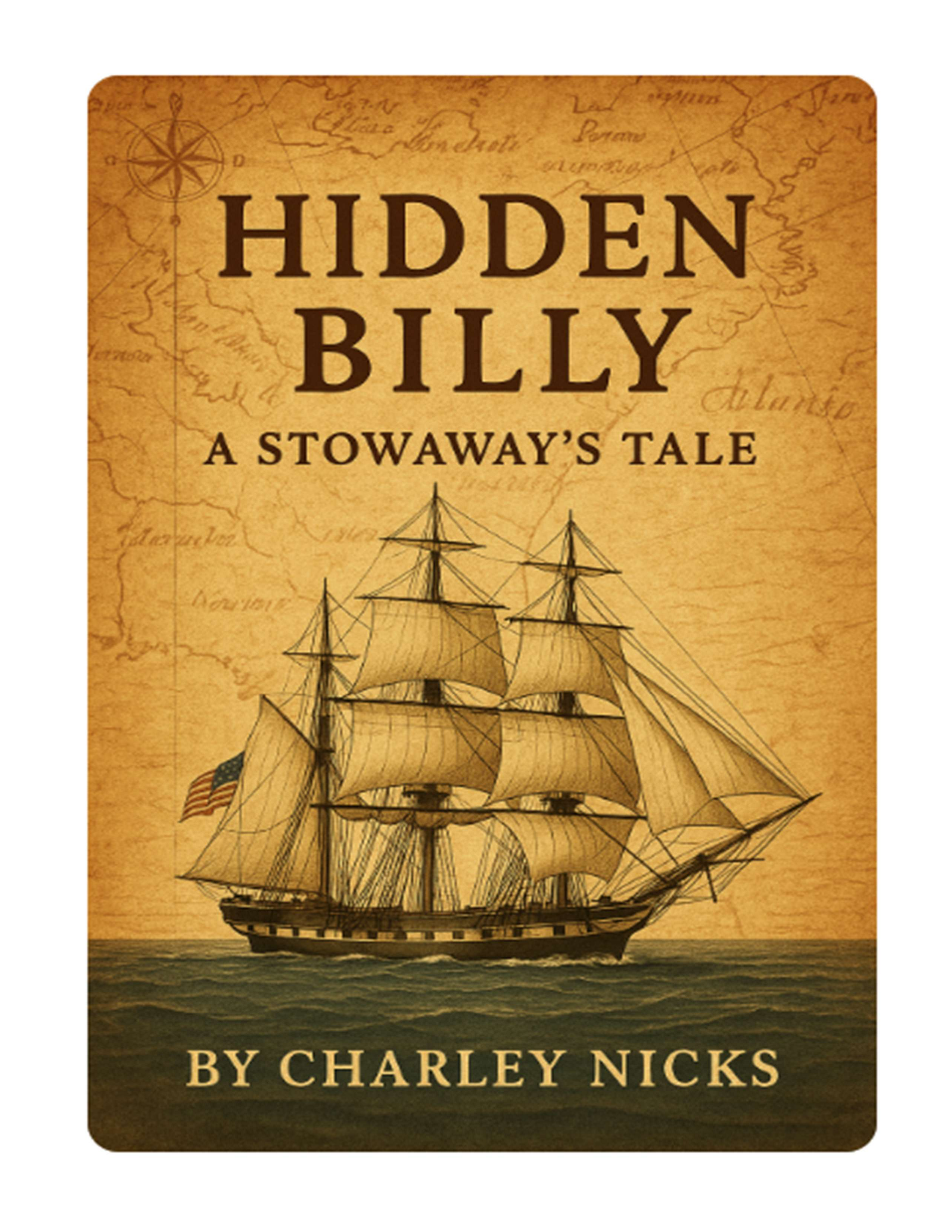 E Book  Hidden Billy - A Stowaway's Tale