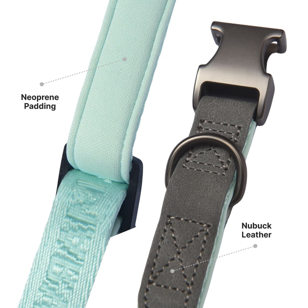 PETMARVEL Heavy Duty Solid Dog Collar Neoprene Padded 1 In Wide