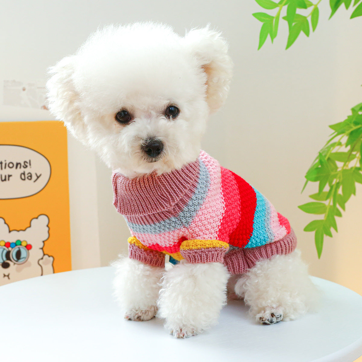 Colorful Sweater for pet