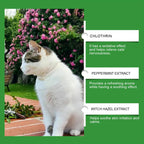 Cat Emotional Care Set Pet Cat Soothing Calm Estrus Irritability Mood Noise Reduction Care